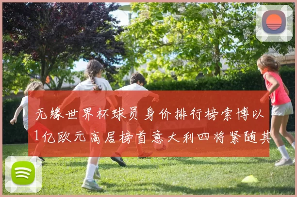 无缘世界杯球员身价排行榜索博以1亿欧元高居榜首意大利四将紧随其后