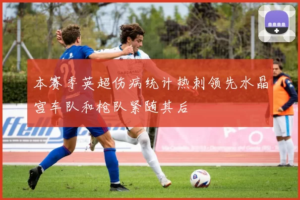 本赛季英超伤病统计热刺领先水晶宫车队和枪队紧随其后